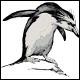 Crested penguin