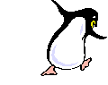 Dancing penguin!