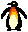 Another Little Penguin