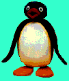 Pingu the Penguin