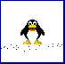 Penguin walks on some rocks