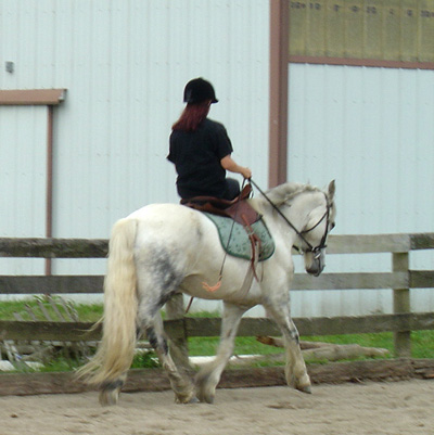 His second time going sidesaddle