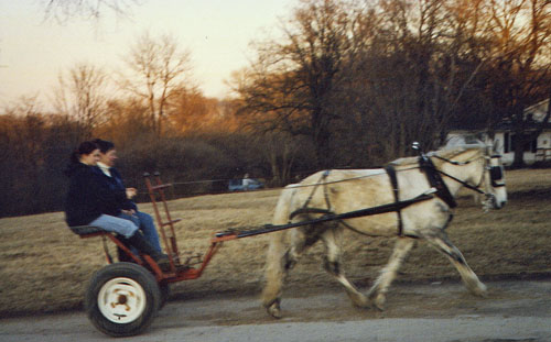 Giving rides around the farm