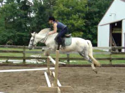 He goes over 2'9" in style, without a problem