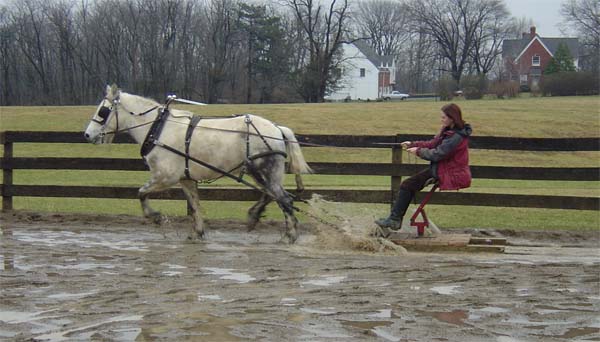 Learning to drive