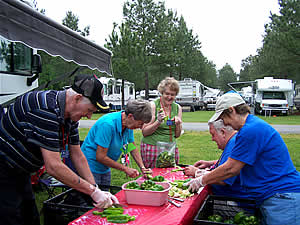 Spring Samboree