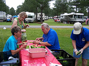 Spring Samboree