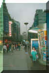 nanjing_road.jpg (167329 bytes)