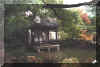 xihuipark1.jpg (457266 bytes)