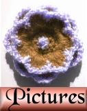Pictures