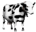 Love this cow