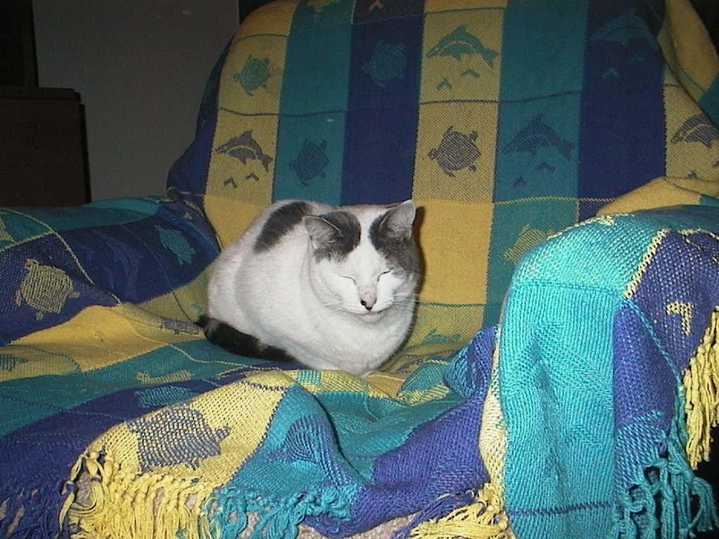 Houdini
