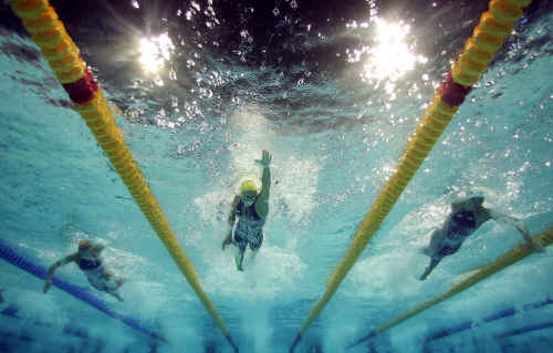 swim_free_underwater_72391781.jpg (155895 bytes)
