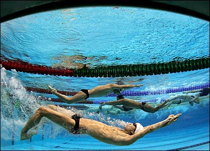 swimmer1.jpg (36593 bytes)