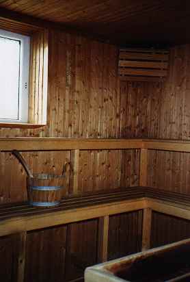 Sauna1.jpg (10085 Byte)
