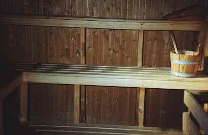 Sauna2.jpg (9119 Byte)