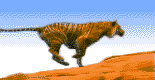 loading animation . . .