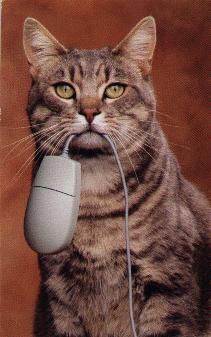 Catmouse.jpg