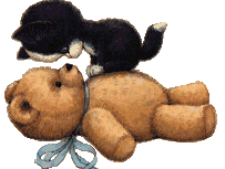 catteddy
