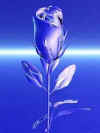 rosa_de_cristal.jpg (8217 bytes)