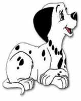 famoso dalmata
