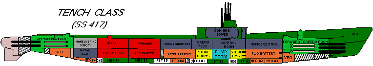 cut-away gif of tench class