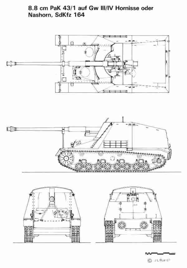 Line Drawing of Hornisse/Nashorn