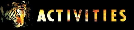Activities