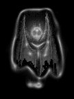 The Mothman!