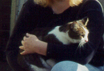Al on my lap, but trying to escape!