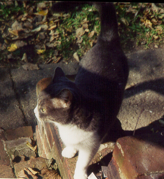 Kelsey outside