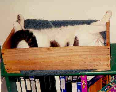 Snoozin'!