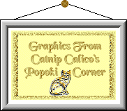 Catnip Calico