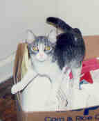 Kelsey in a box!