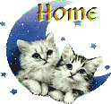 Home to Penultima!