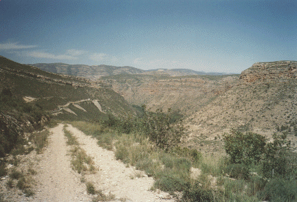 Camino de bajada al cauce del Turia.