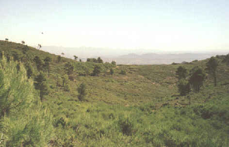 Vista desde Camino Carreteras, al fondo silueta de la Calderona.