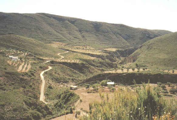 Barranco del Gallo visto desde la Cuesta del Clavel.