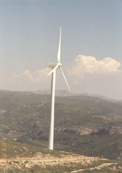 Molino y Barranco del Gallo, �c�al es m�s grande?