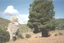 El Cantal