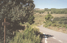 Cruce con Camino de la Murta, al fondo Cucal�n.