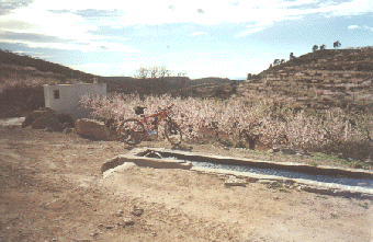 Fuente de la Murta en primavera.