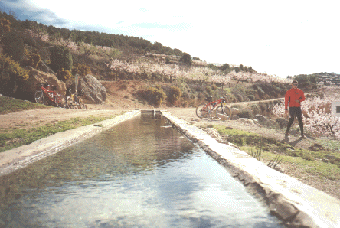 Fuente de la Murta en primavera.