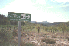 Indicador en cruce "Torrej�n". Al fondo el Pico del Aguila.