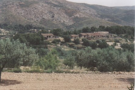 Bodegas Torres Viejas