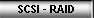 SCSI - RAID