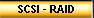 SCSI - RAID