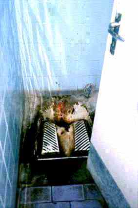 WC
