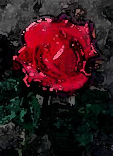 roze