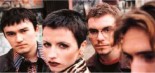 cranberries.jpg (5841 byte)